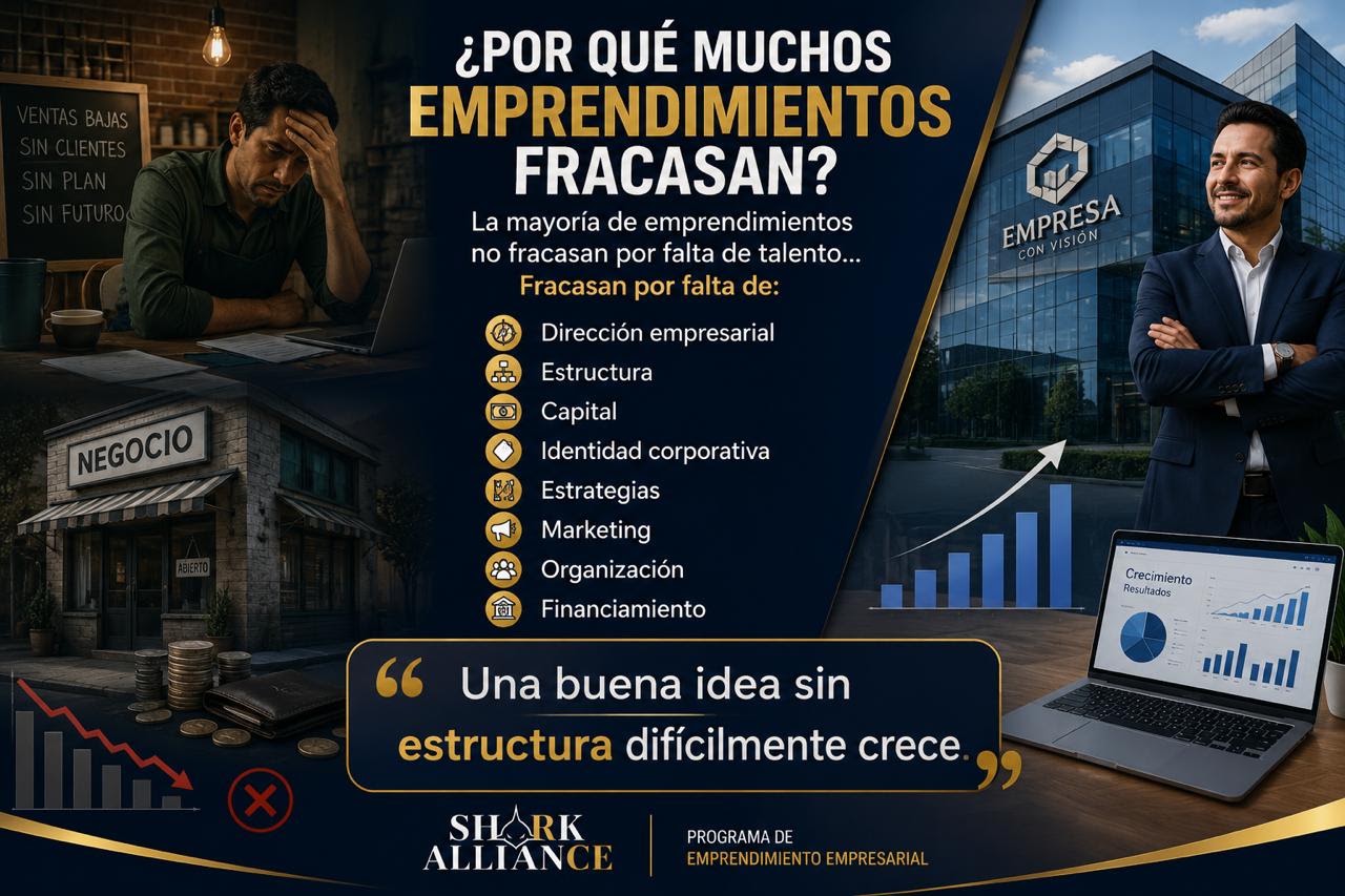 Shark Alliance — imagen 2